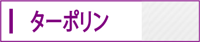 ターポリン