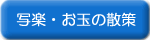 ʊyEʂ̎U